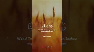 Download lagu Surah Ali Imran ayat 8 mp3