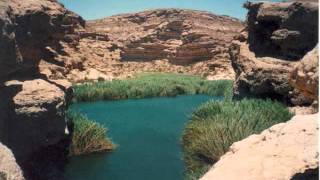 Oasis of Love - Sheila Dorcas