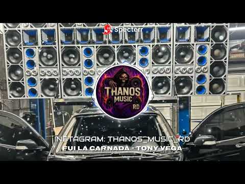 Fui la Carnada - Tony Vega  Salsa Alta Calidad - Para Musicólogos HQ