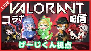 【VALORANT】ウォーデンってなんですか？おいしいの？食べれるの？徹底解剖します！！！ with　む い　しゅりねこ　すぽんじ　それがし