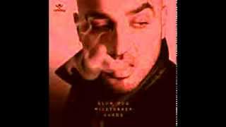 Kurdo SDM (UNZENSIERT)