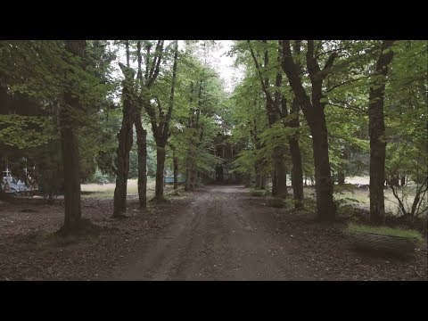 Трейлер