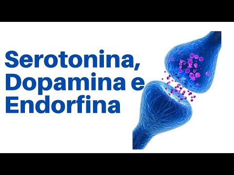 Serotonina, Dopamina e Endorfina: Como estimular a produção