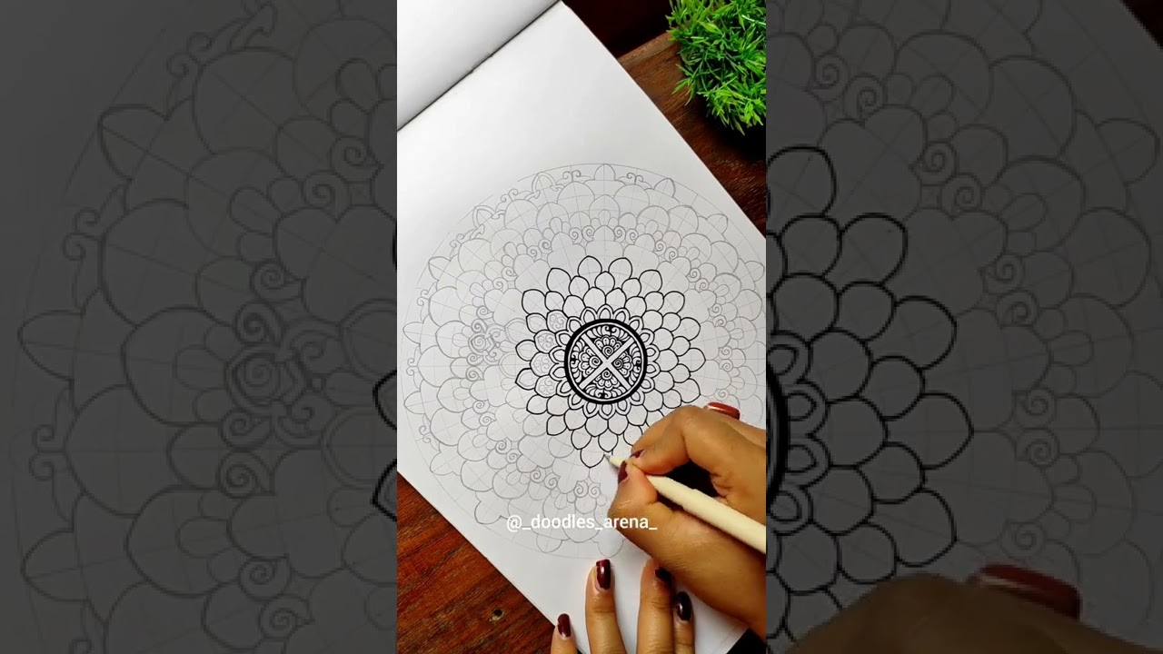 mandala petal grid timelapse#mandala #timelapse #tutorial