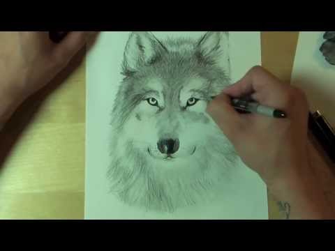 download lagu mp3 mp4 Wolf Gemalt, download lagu Wolf Gemalt gratis, unduh video klip Download Wolf Gemalt Mp3 dan Mp4 320kbps Gratis