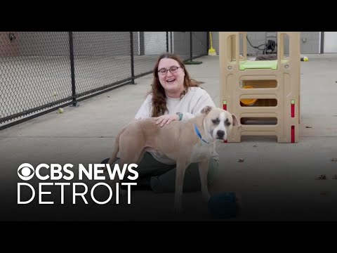 Furry Friday: Meet Casper the dog and Thomas the cat. - YouTube