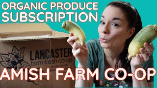 Lancaster Farm Fresh Co-Op: Organic Produce Unboxing from Amish Farms + Cats & the Christmas Tree!
