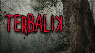 Download lagu TEMEN JADI KALONG DI GUNUNG CIREMAI - Pendakian HOROR Gunung CIREMAI | Pendakian Horrormu #57 mp3