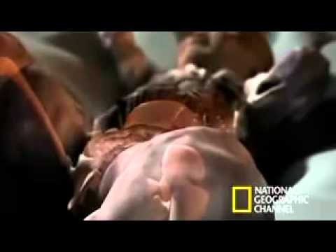 National Geographic   Inside the Living Body 1 9   YouTube