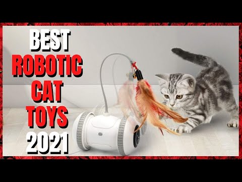 Top 5 Best Robotic Cat Toys 2021 | Cat Toy For Indoor Cats  | Top Interactive Cat Toys