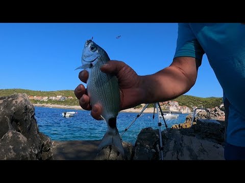 RIBOLOV UŠATA FEEDEROM (A VOLO) -  Ninoslav Žagar