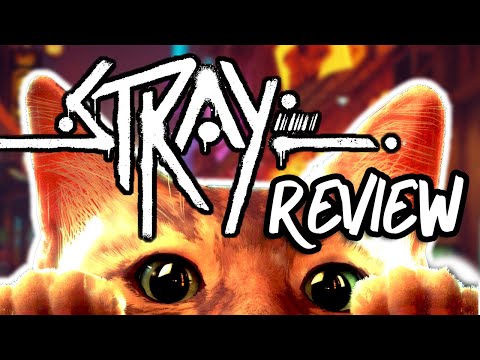 STRAY: Review | Test - Innovatives Katzen-Adventure oder Grafikblender? (4K 60FPS)