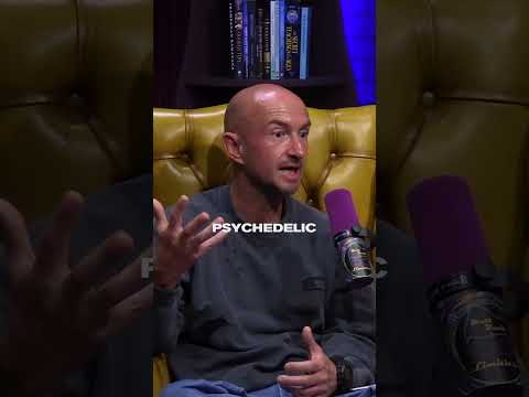 Why the Body Might Release DMT at Death