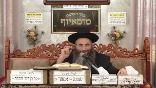 הרב עופר כדורי | אגדות הש"ס - פרשת משפטים (בית הכנסת מוסאיוף) - התמונה מוצגת ישירות מתוך אתר האינטרנט יוטיוב. זכויות היוצרים בתמונה שייכות ליוצרה. קישור קרדיט למקור התוכן נמצא בתוך דף הסרטון