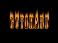 Gotthard Speed of Light