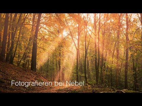 Fotografieren im Nebel