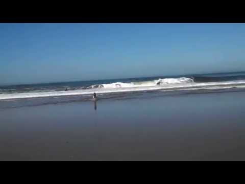 Sasha Comes Out Of the Surf at Ocean Beach