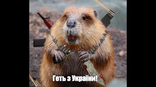 Голова Рівненської ОВА показав бойових бобрів, які допомагають будувати оборонні споруди (відео)