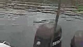 preview picture of video 'stripedbass fishing lake buchanan tx'