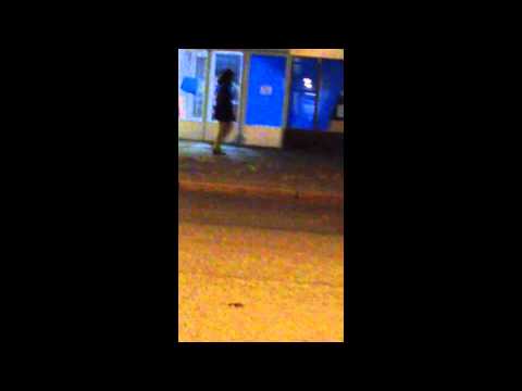 Yh projekti pihlajistossa