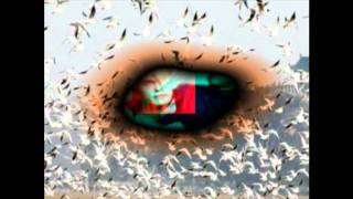 Wave Music (Telecommunication - A Flock Of Seagulls)