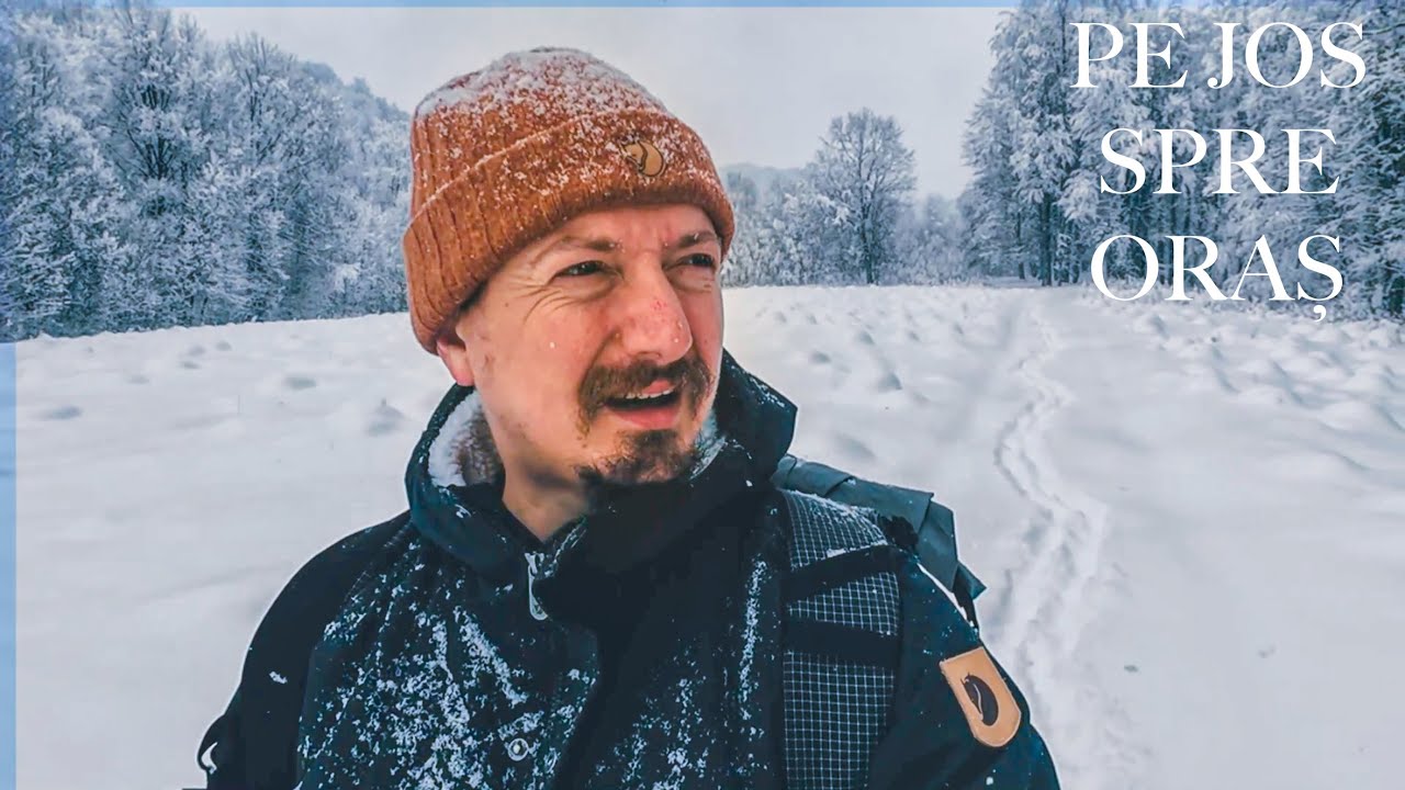 URLAU LUPII ȘI AM CREZUT CĂ RĂMÂN FĂRĂ CÂINI - Ep302