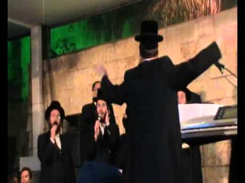 וואלס Waltz - Modzitz מודז'יץ