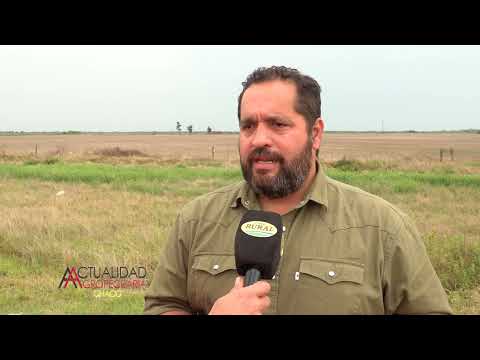 SIMPOSIO DE SORGO - NUFARM SEMILLAS - ING. AGR. MARTIN CANTERO - GENERAL PINEDO CHACO.