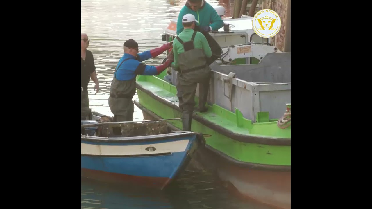Diving Gondoliers Clean Up Venice Venezia Autentica