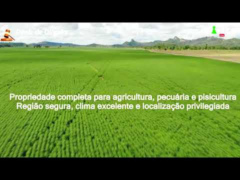 VT a venda  melhor FAZENDA de Minas Gerais 4.660 hectares BARRA MANSA mp4