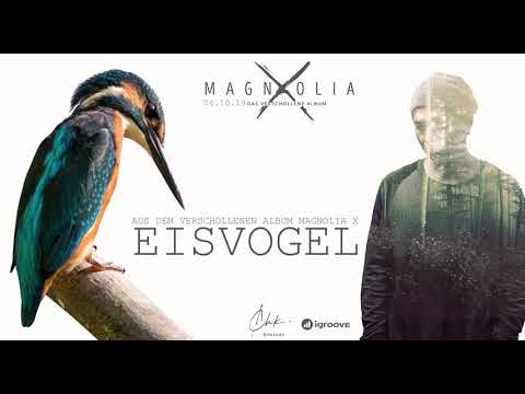 EISVOGEL - AUDIO SINGLE