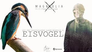 Eisvogel Music Video
