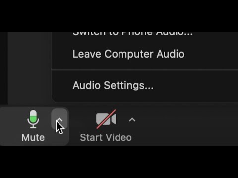 How to disconnect from zoom audio for jamulus