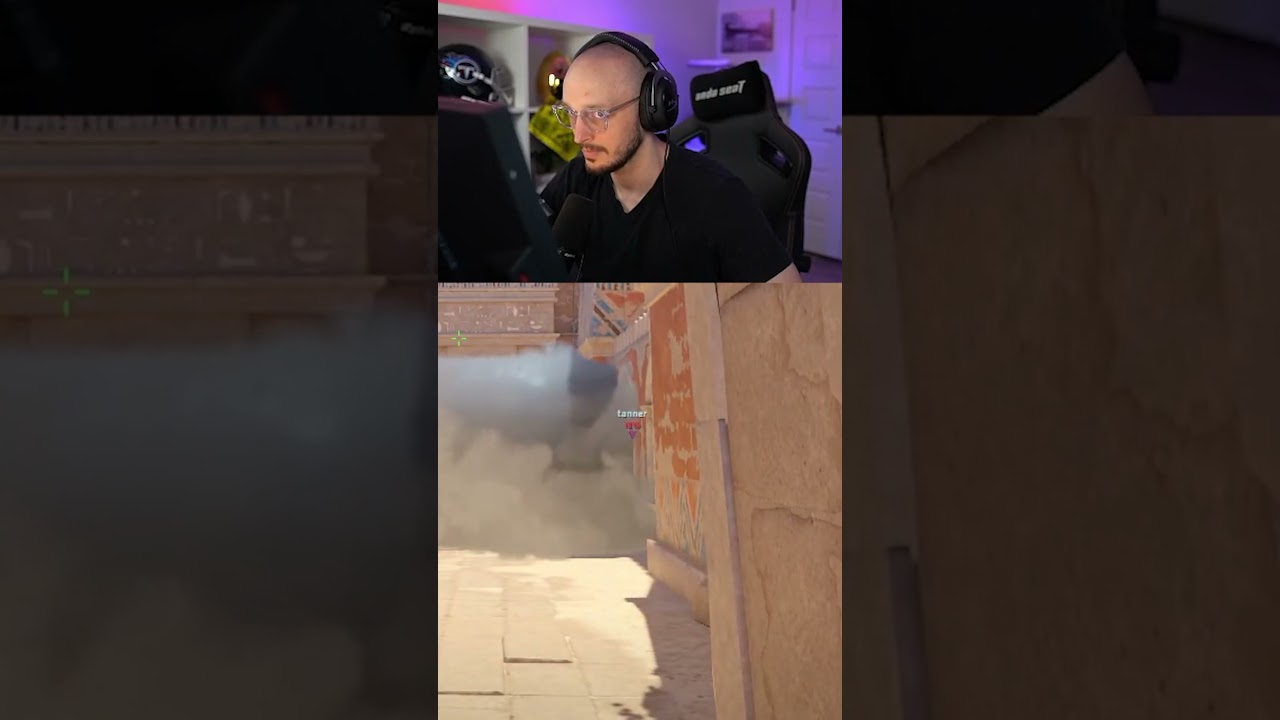 The Typical CS2 Teammate!