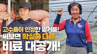 오이 & 마늘 고수들이 극찬한 밑거름 비료 시비 노하우! 알짜 정보 공개