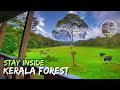 Forest Stay In Kerala Edapalayam Watch Tower In Periyar Tiger Reserve English