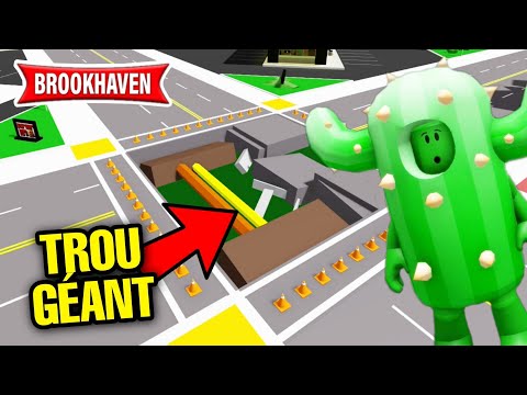 CACTUS AND THE GIANT HOLE IN BROOKHAVEN! ROBLOX - BROOKHAVEN RP