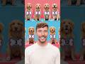 Find Your Dog Win 10 000