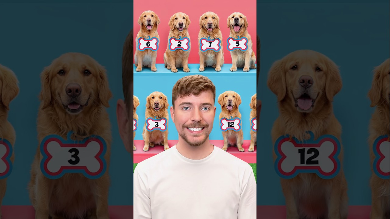 Find Your Dog, Win $10,000