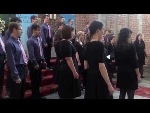 KZ Megaron - SPASENIYE SODELAL (Pavel Chesnokov) - Orthodox deep bass