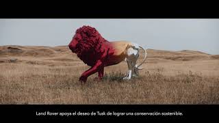 World Lion Day Trailer