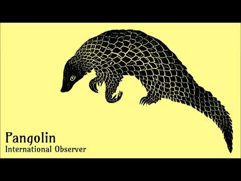 International Observer - Pangolin Dub