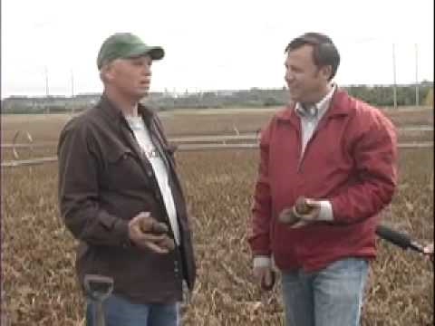 download lagu mp3 mp4 Are Norbest Turkeys Gluten Free, download lagu Are Norbest Turkeys Gluten Free gratis, unduh video klip Are Norbest Turkeys Gluten Free