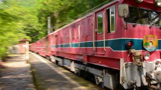 ◯まさかの列車から直接飛び降りる⁈  /井川アプト線