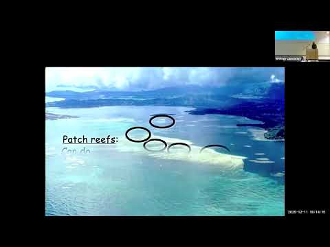 Evenings at Whitney - Locomoting in a turbulent world