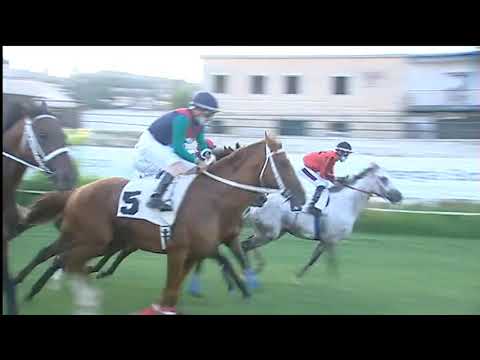 Galoppo 25/07/2020 - 2ª corsa