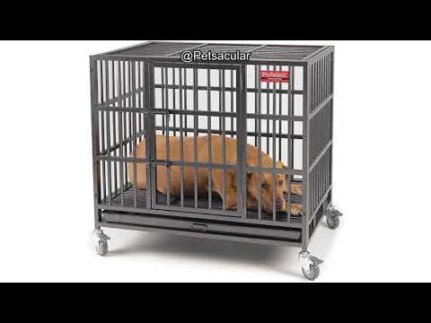 Pro Select Empire Cage LARGE Review: Durable, Secure, and Worth the Investment?