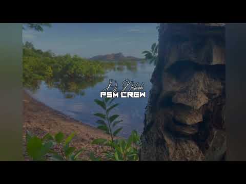 DJ NALASH X Ronisia ft Ninho