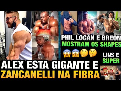 ALEX ESTÁ GIGANTE - ZANCA FIBRANDO O TRICEPS - LOGAN VAI COMPETIR - PHIL E BREON IMPRESSIONAM E MAIS