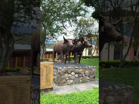 Recorrido por boyaca 22de123 #berbeo